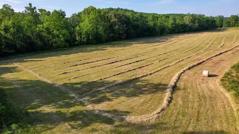 1267 Wades Branch Road Centerville TN 37033