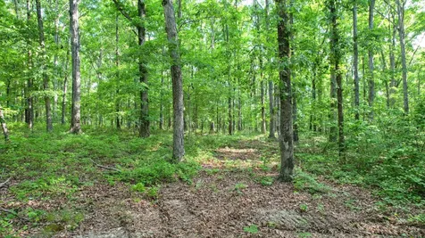 1267 Wades Branch Road Centerville TN 37033