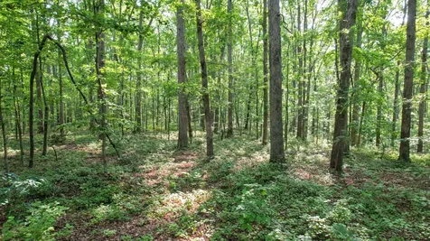 1267 Wades Branch Road Centerville TN 37033