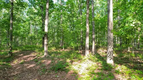 1267 Wades Branch Road Centerville TN 37033