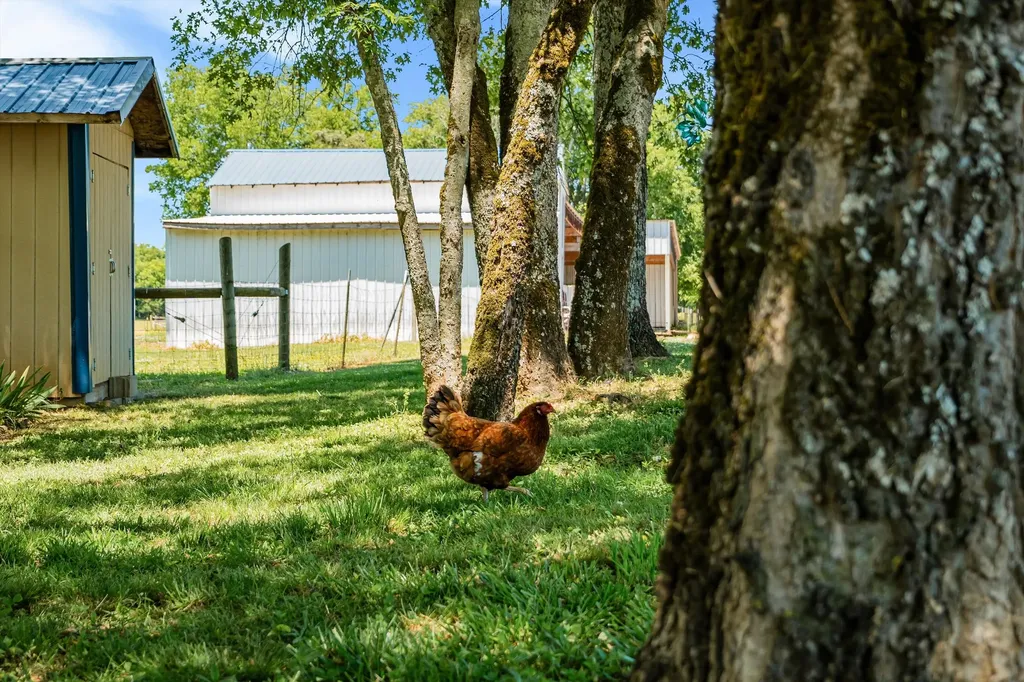 332 John Shaw Road Lewisburg TN 37091