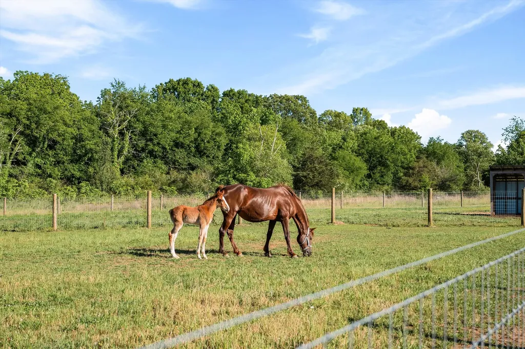 332 John Shaw Road Lewisburg TN 37091
