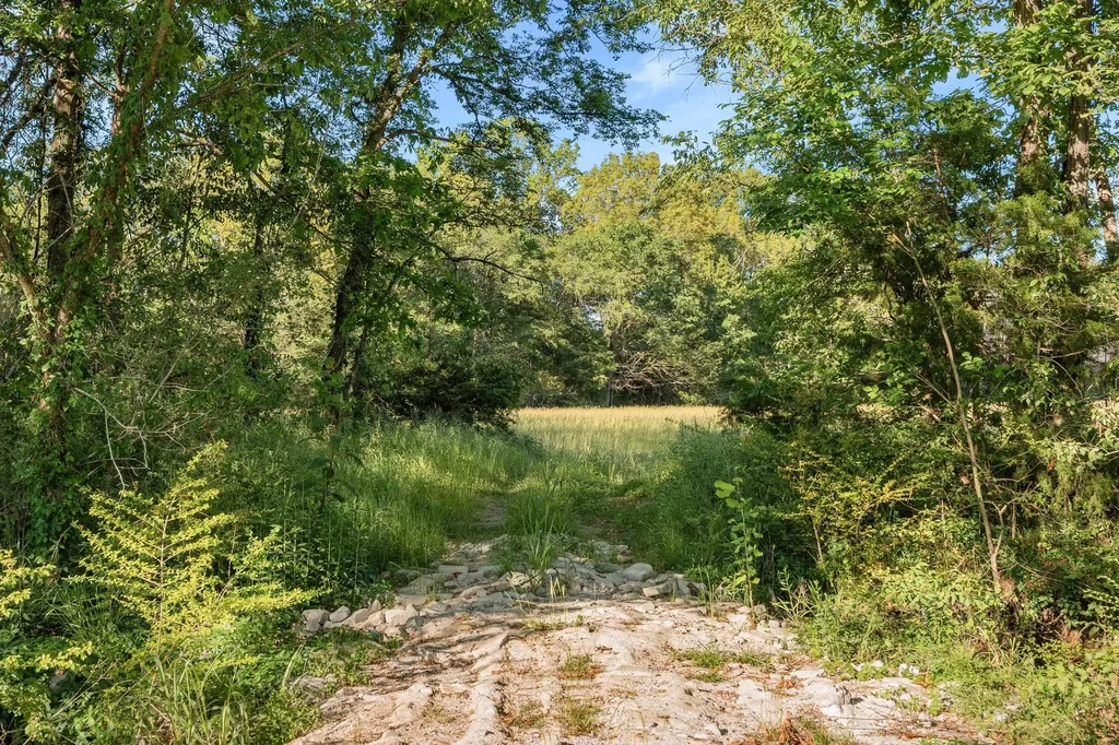 332 John Shaw Road Lewisburg TN 37091