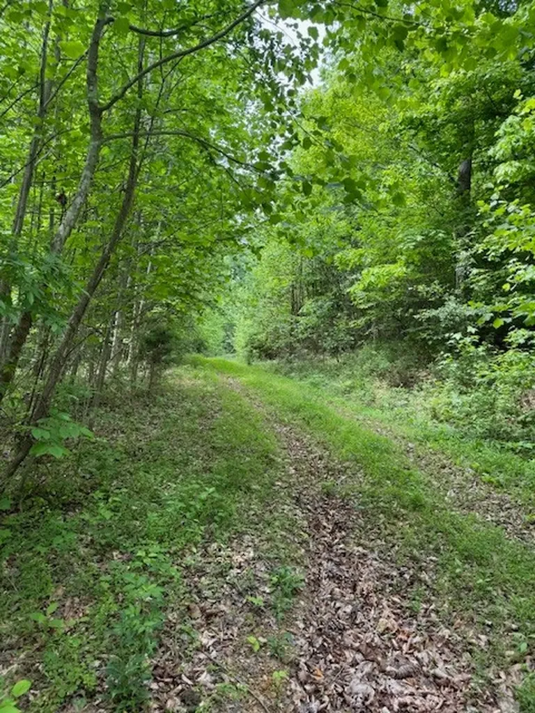 519 Bennett Hill Road Red Boiling Springs TN 37150