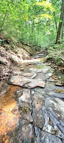 1027 Garland Hollow Road Pegram TN 37143