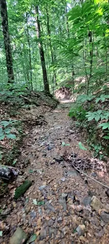1027 Garland Hollow Road Pegram TN 37143