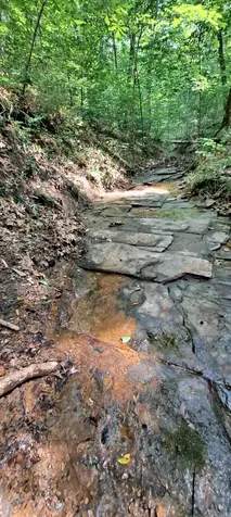 1027 Garland Hollow Road Pegram TN 37143