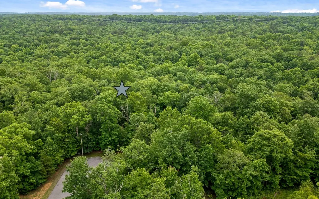 41 Quill Haven Drive Signal Mountain TN 37377