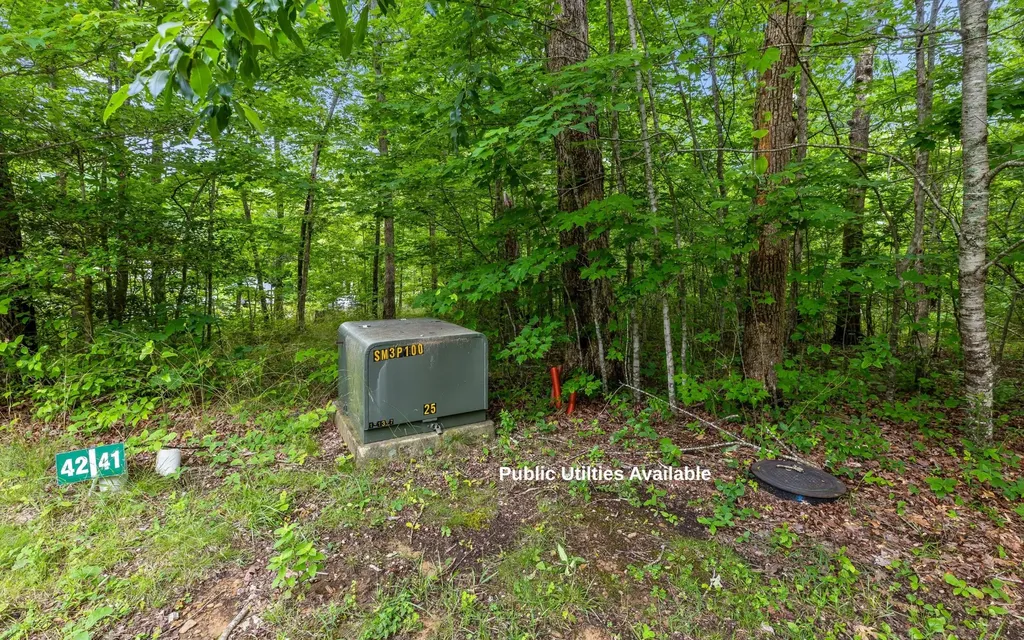 41 Quill Haven Drive Signal Mountain TN 37377