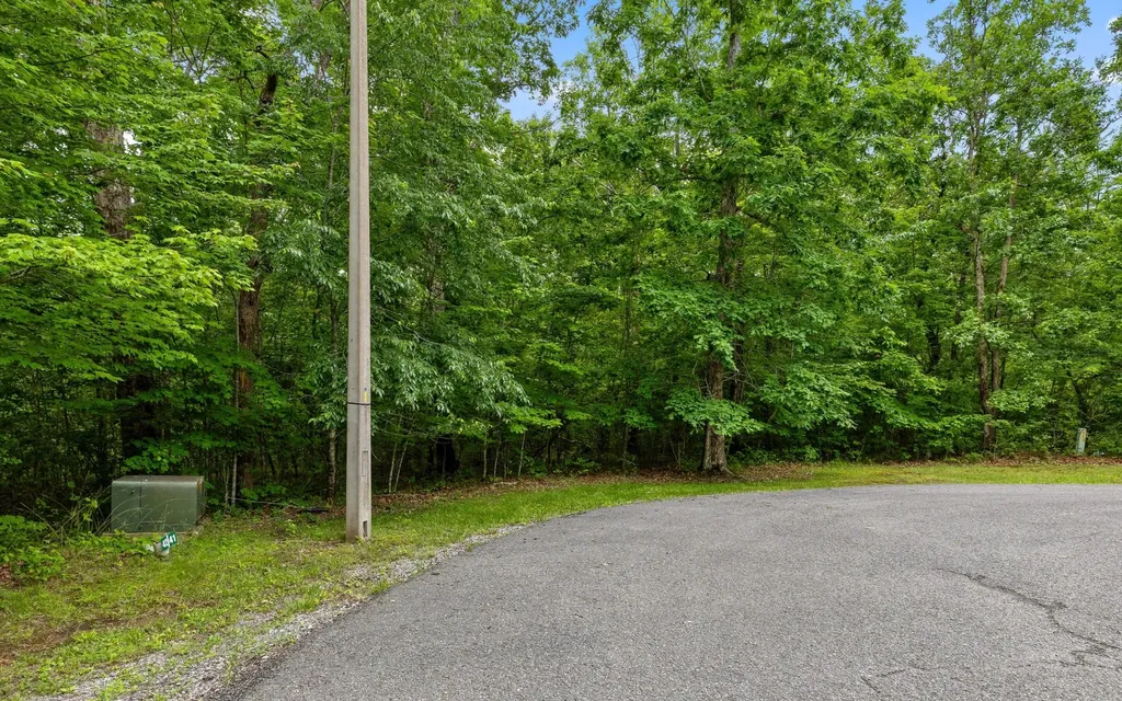41 Quill Haven Drive Signal Mountain TN 37377
