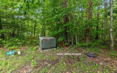 41 Quill Haven Drive Signal Mountain TN 37377