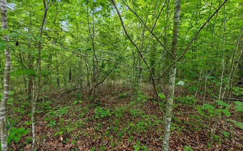 41 Quill Haven Drive Signal Mountain TN 37377