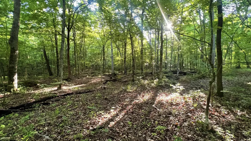 7 Mile Ridge Road Indian Mound TN 37079