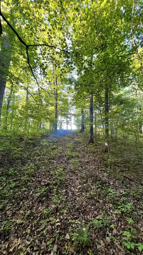 7 Mile Ridge Road Indian Mound TN 37079