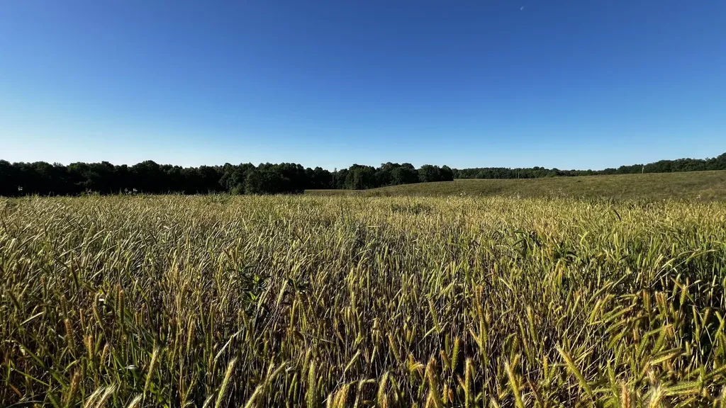 7 Mile Ridge Road Indian Mound TN 37079