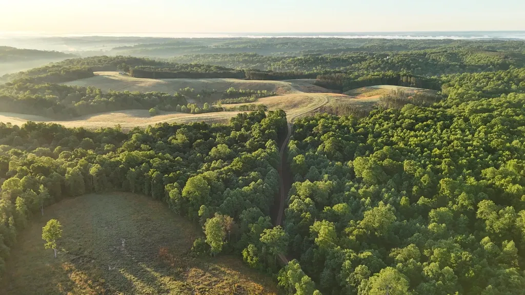 7 Mile Ridge Road Indian Mound TN 37079