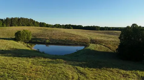 7 Mile Ridge Road Indian Mound TN 37079
