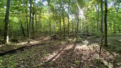 7 Mile Ridge Road Indian Mound TN 37079
