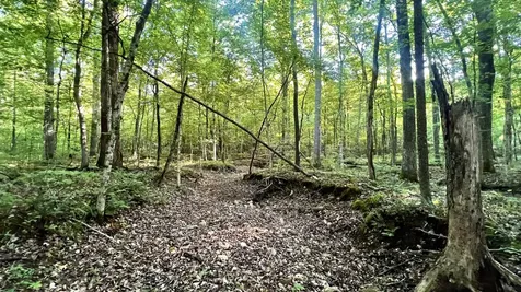 7 Mile Ridge Road Indian Mound TN 37079