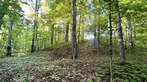 7 Mile Ridge Road Indian Mound TN 37079