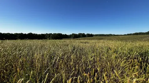 7 Mile Ridge Road Indian Mound TN 37079