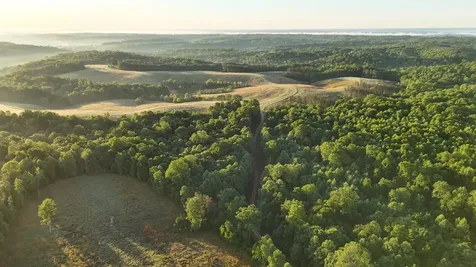 7 Mile Ridge Road Indian Mound TN 37079
