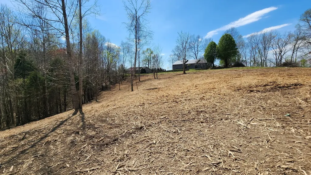 0 Opal Point Smithville TN 37166
