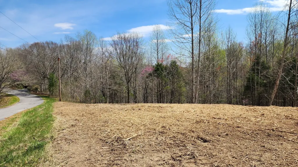 0 Opal Point Smithville TN 37166