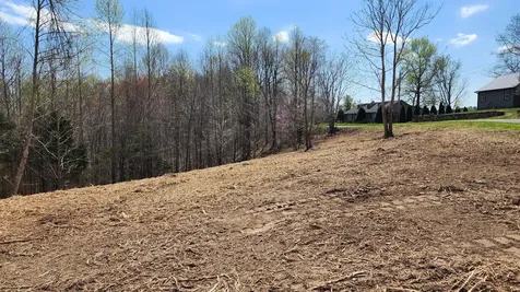 0 Opal Point Smithville TN 37166