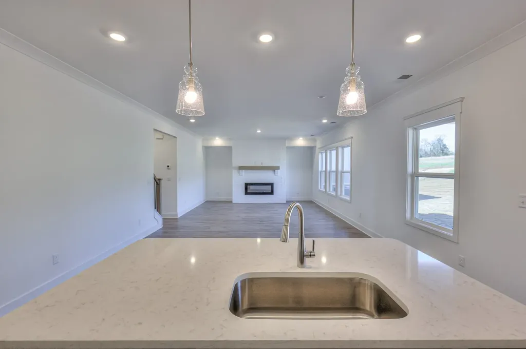 2106 Layla Lane White House TN 37188