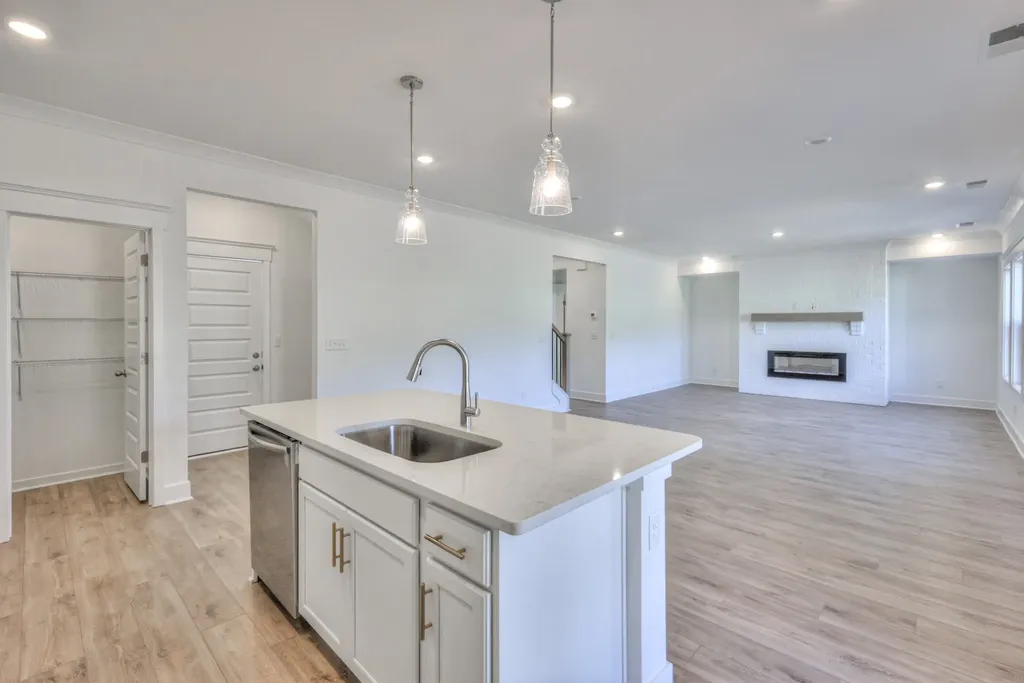 2213 Layla Lane White House TN 37188