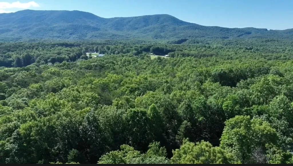 0 Coker Creek Trail Tellico Plains TN 37385