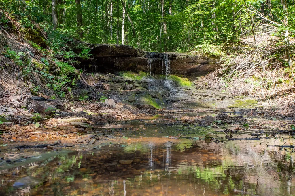 5185 Old Harding Road Franklin TN 37064