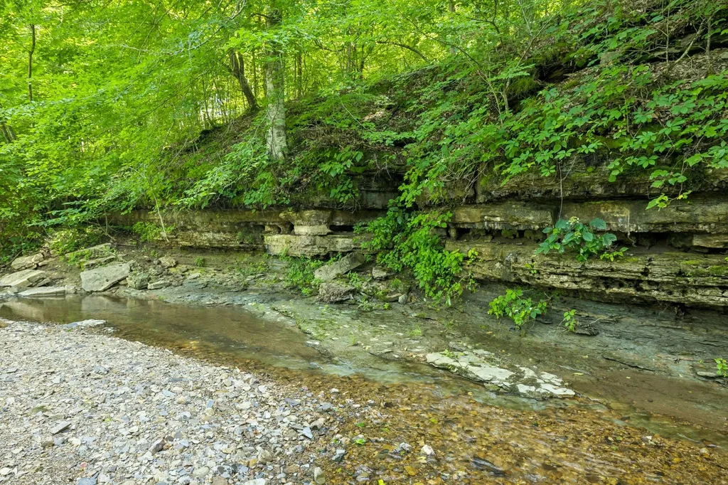 5185 Old Harding Road Franklin TN 37064