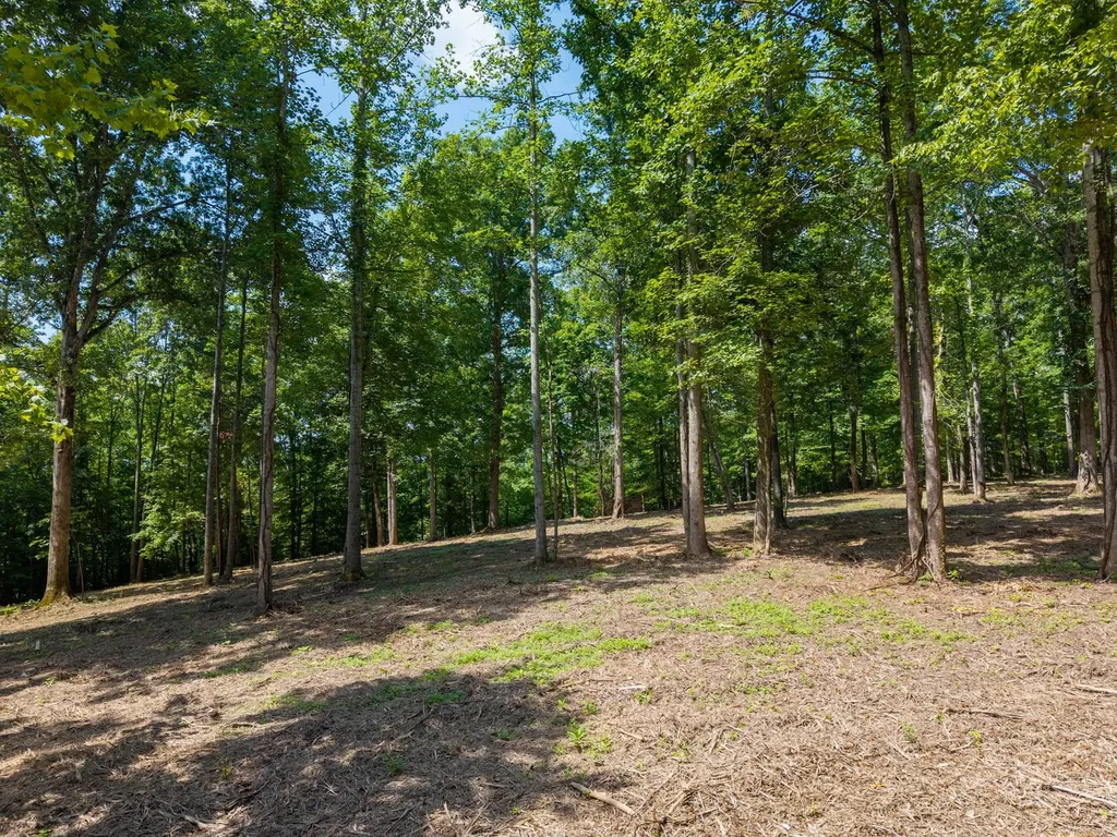 5185 Old Harding Road Franklin TN 37064