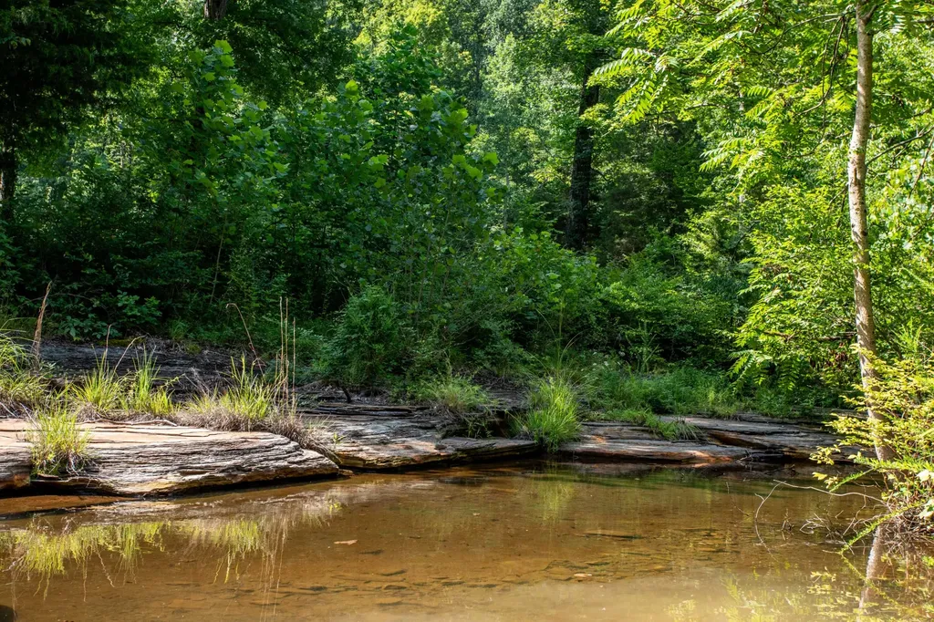 5185 Old Harding Road Franklin TN 37064