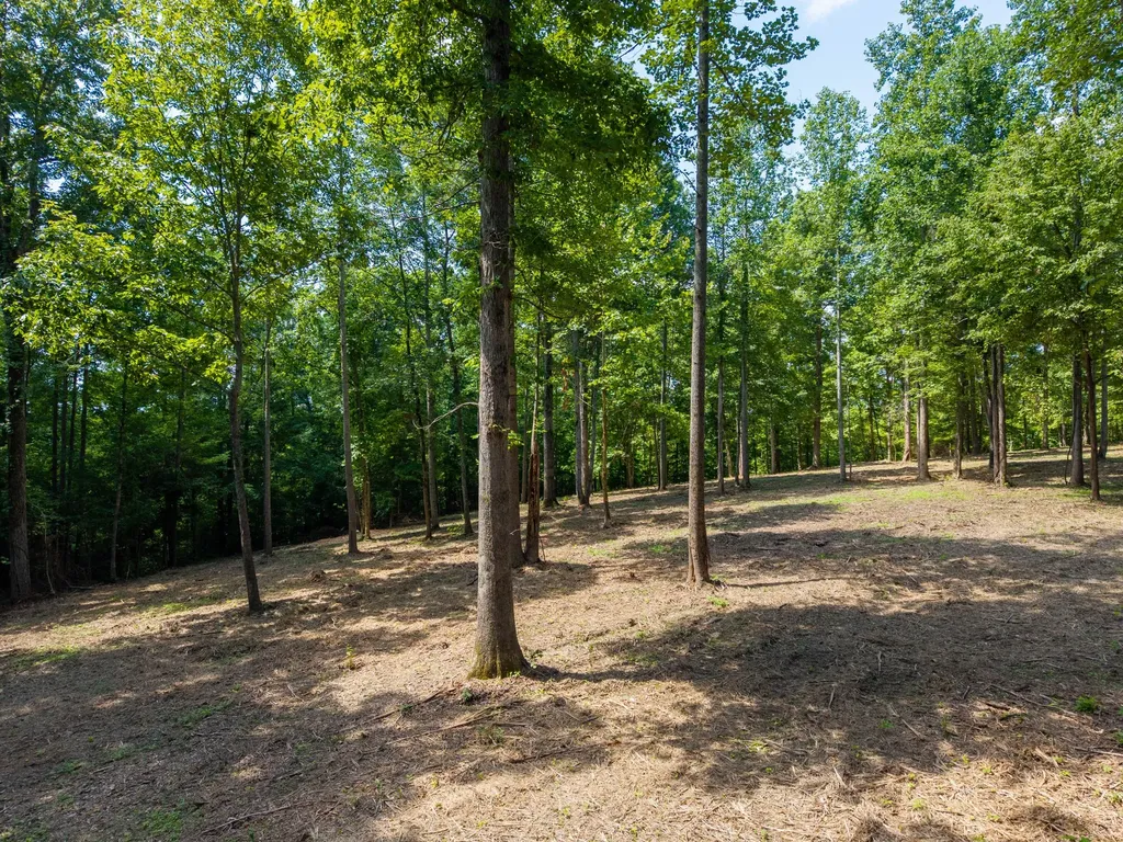 5185 Old Harding Road Franklin TN 37064
