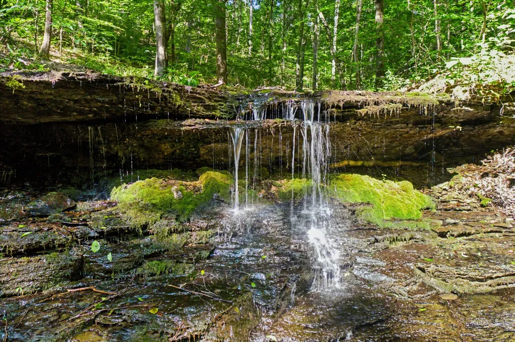 5185 Old Harding Road Franklin TN 37064
