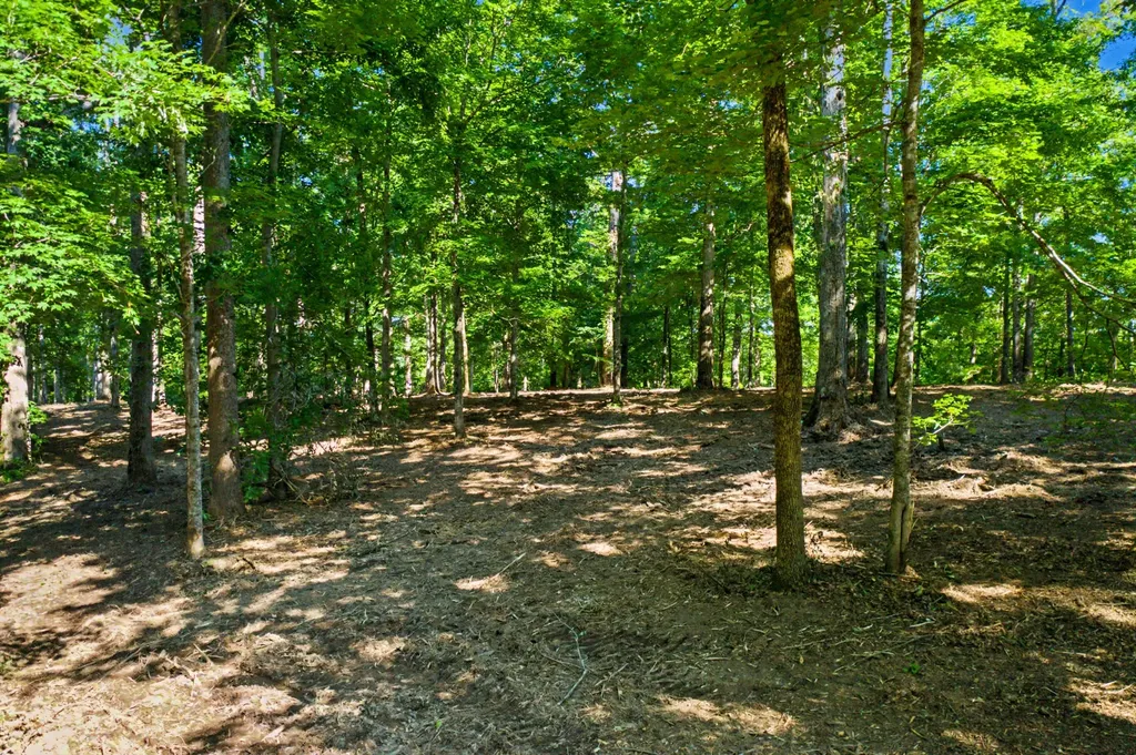5185 Old Harding Road Franklin TN 37064