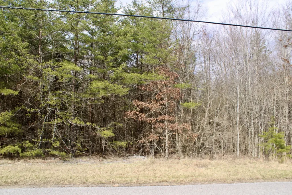 0 Denny Bend Road Spencer TN 38585