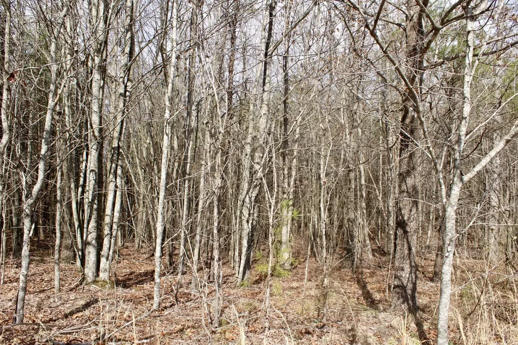 0 Denny Bend Road Spencer TN 38585