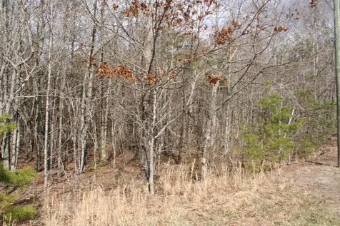 0 Denny Bend Road Spencer TN 38585