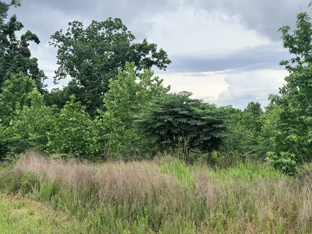0 Lake Ridge Drive Stewart TN 37175