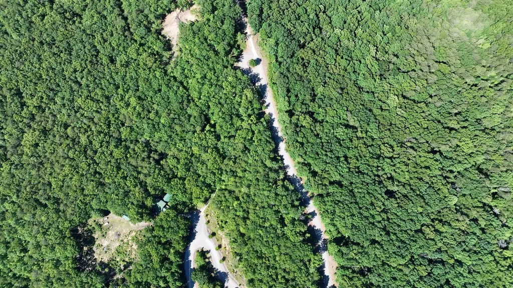 0 Coker Creek Trail Tellico Plains TN 37385