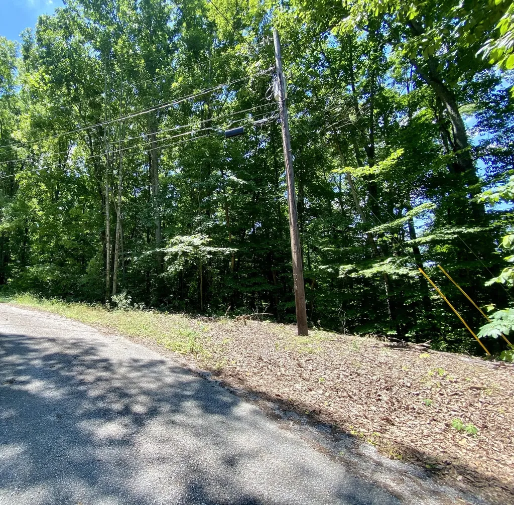0 Dogwood Place Smithville TN 37166