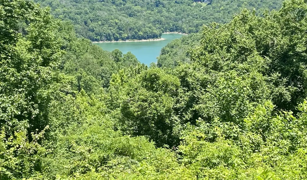 0 Dogwood Place Smithville TN 37166