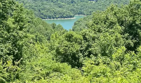 0 Dogwood Place Smithville TN 37166