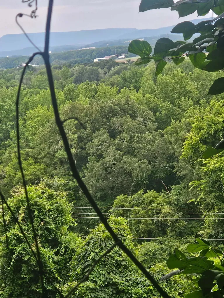 0 Old Jasper Road South Pittsburg TN 37380