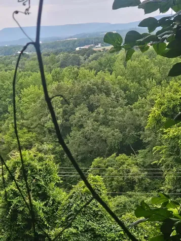 0 Old Jasper Road South Pittsburg TN 37380