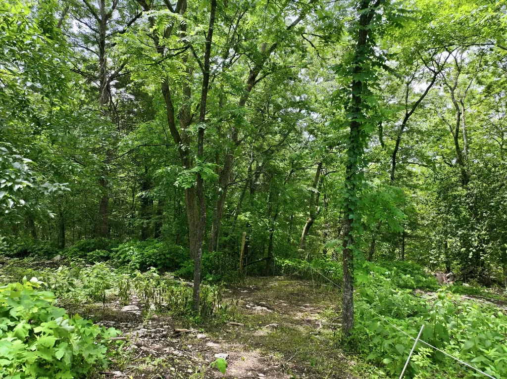 412 S Valley Road Shelbyville TN 37160